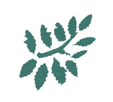 Logo ICSD